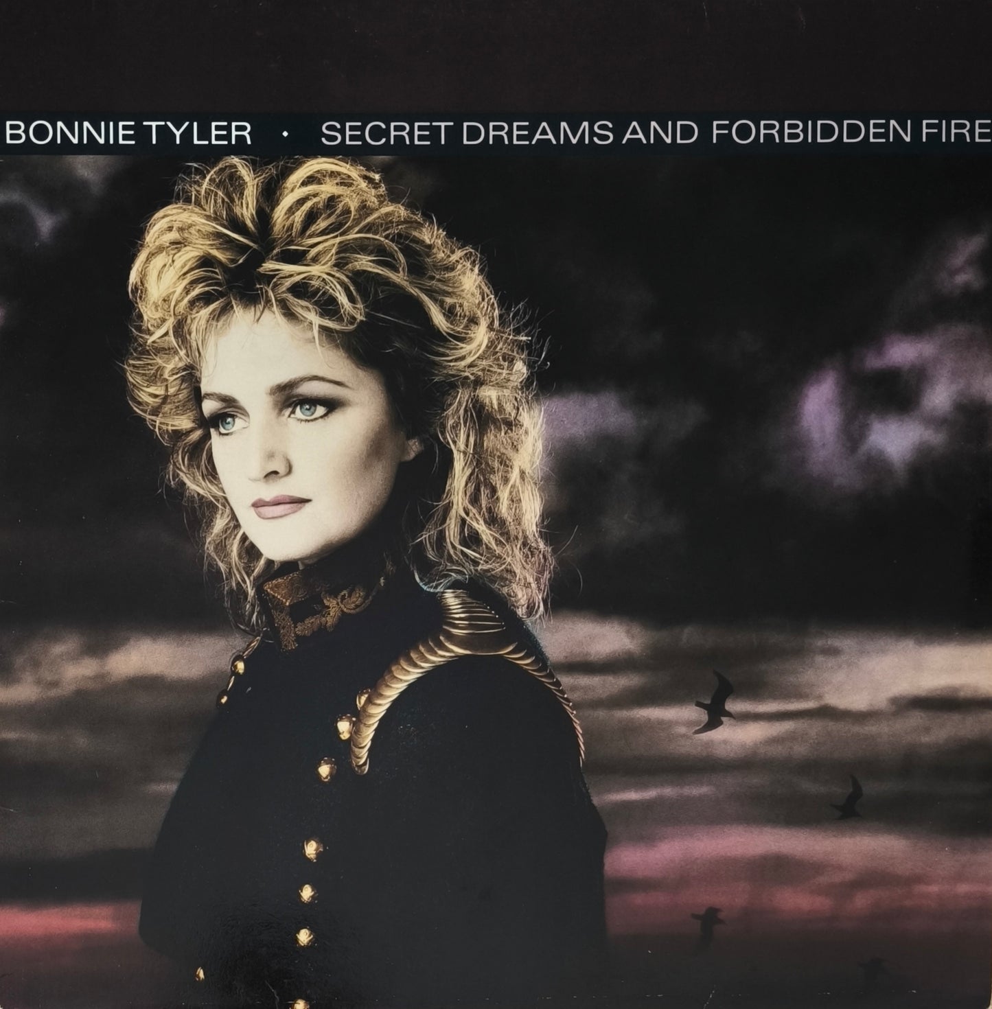 BONNIE TYLER - Secret Dreams And Forbidden Fire