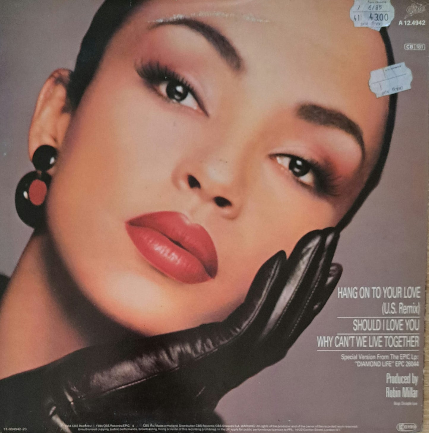 SADE - Hang On To Your Love (U.S. Remix)