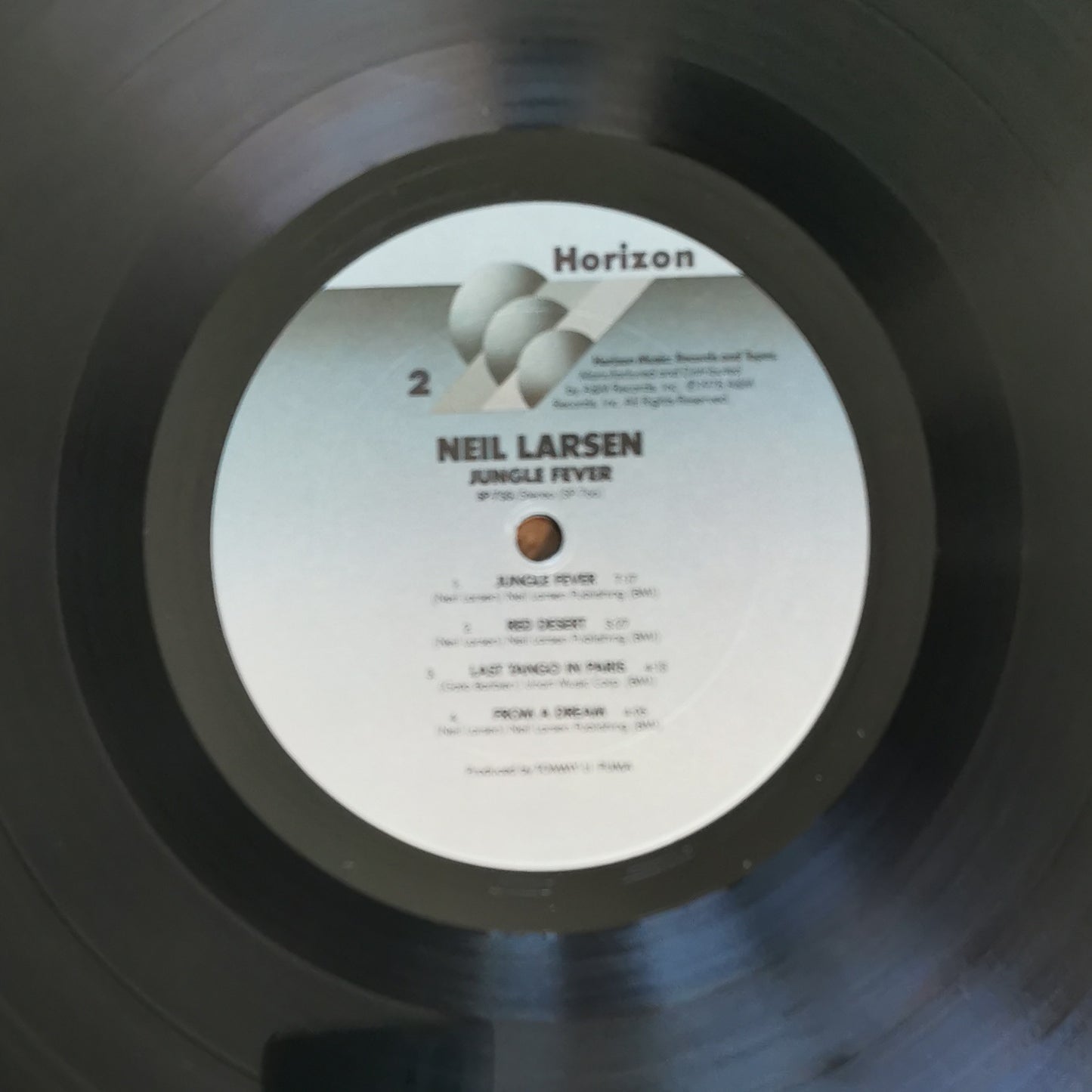 NEIL LARSEN - Jungle Fever