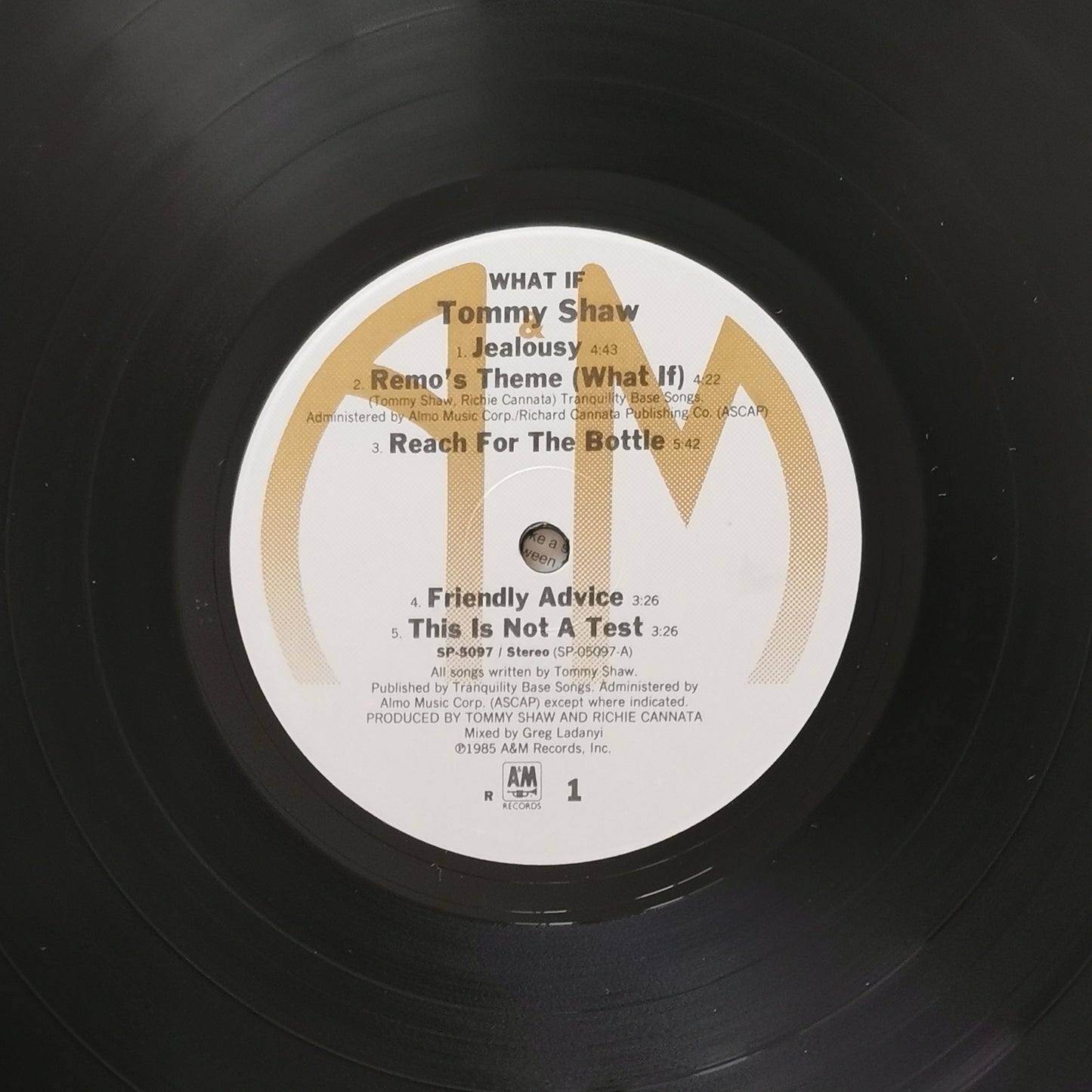TOMMY SHAW - What If