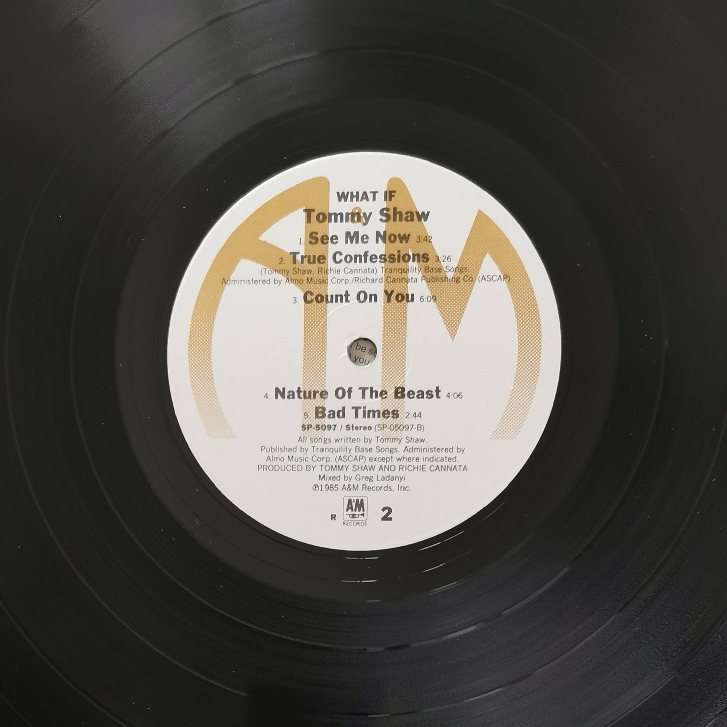 TOMMY SHAW - What If