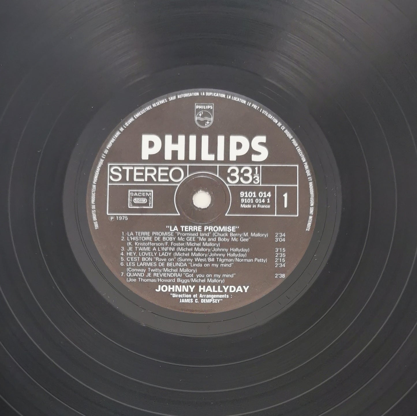 JOHNNY HALLYDAY - La Terre Promise