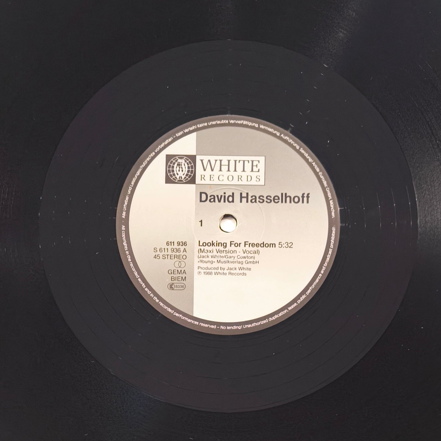 DAVID HASSELHOFF - Looking For Freedom