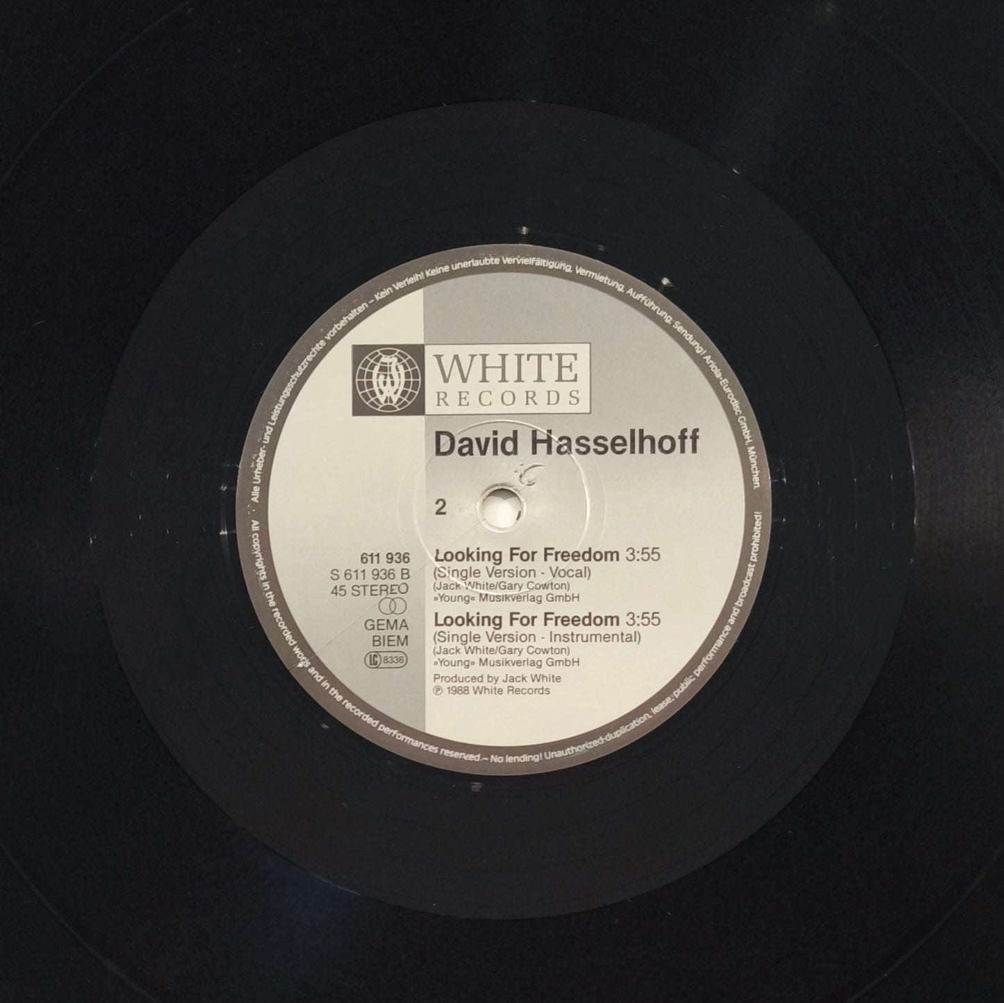 DAVID HASSELHOFF - Looking For Freedom