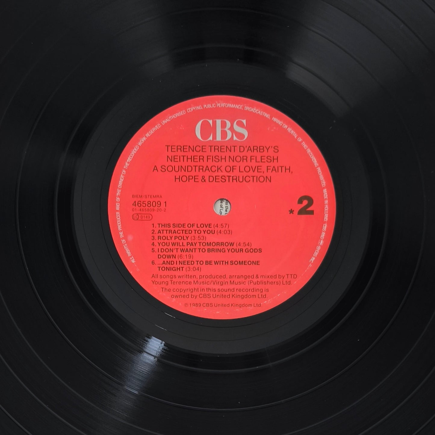 TERENCE TRENT D'ARBY - Terence Trent D'Arby's Neither Fish Nor Flesh: A Soundtrack Of Love, Faith, Hope And Destruction