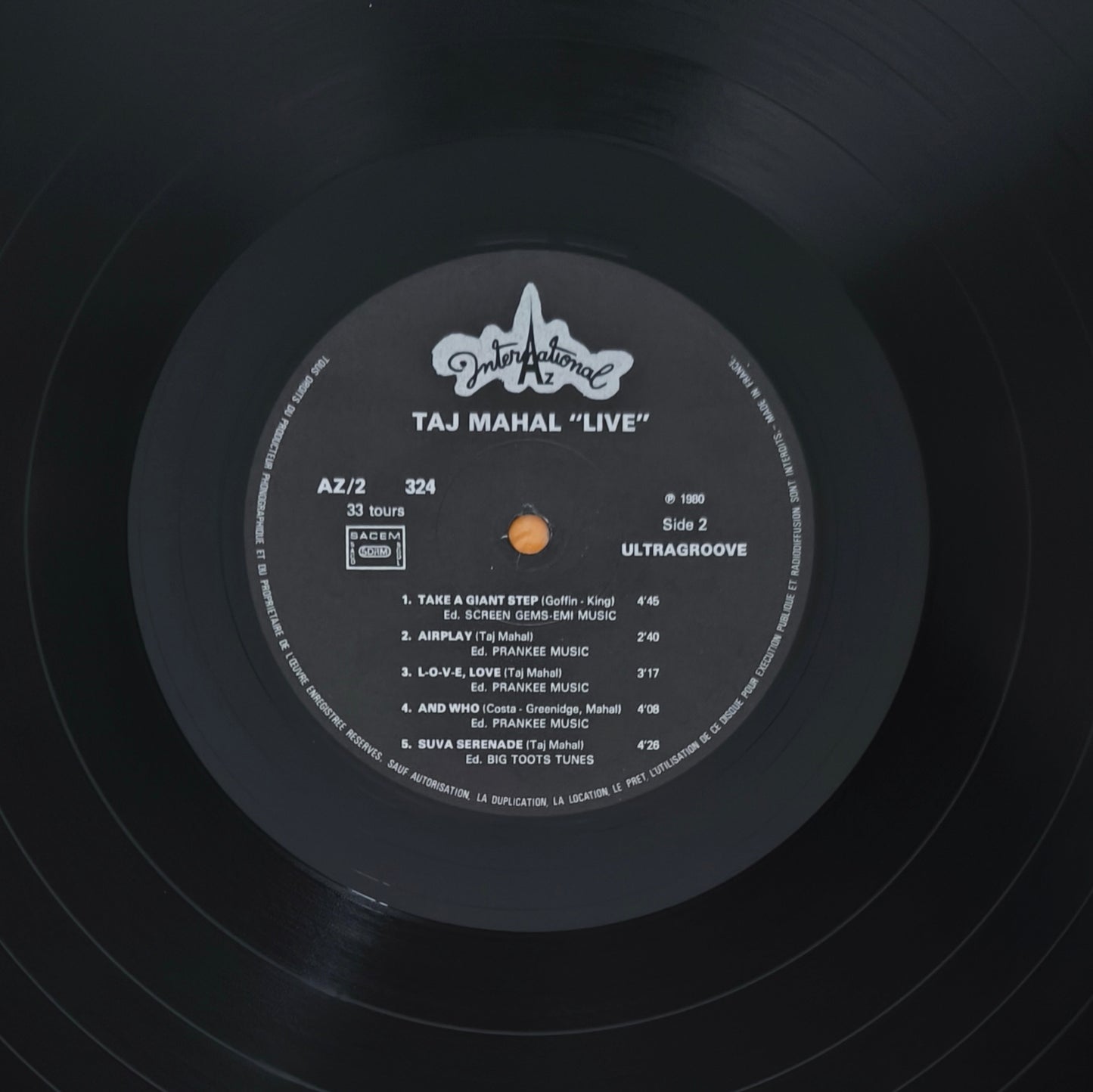 TAJ MAHAL AND THE INTERNATIONAL RHYTHM BAND - Live