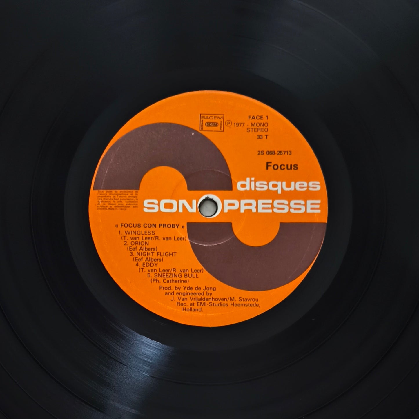 FOCUS CON PROBY - Focus Con Proby