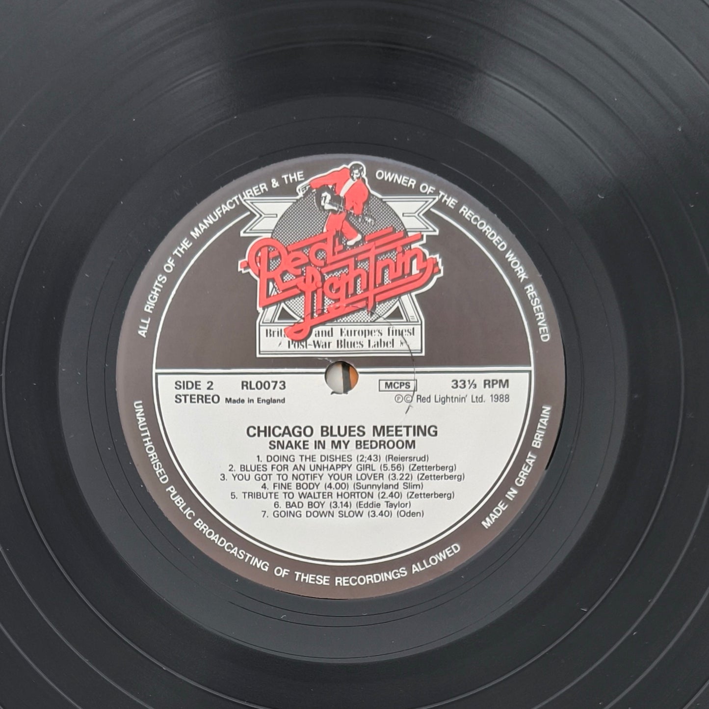 CHICAGO BLUES MEETING - 'Snake In My Bedroom'