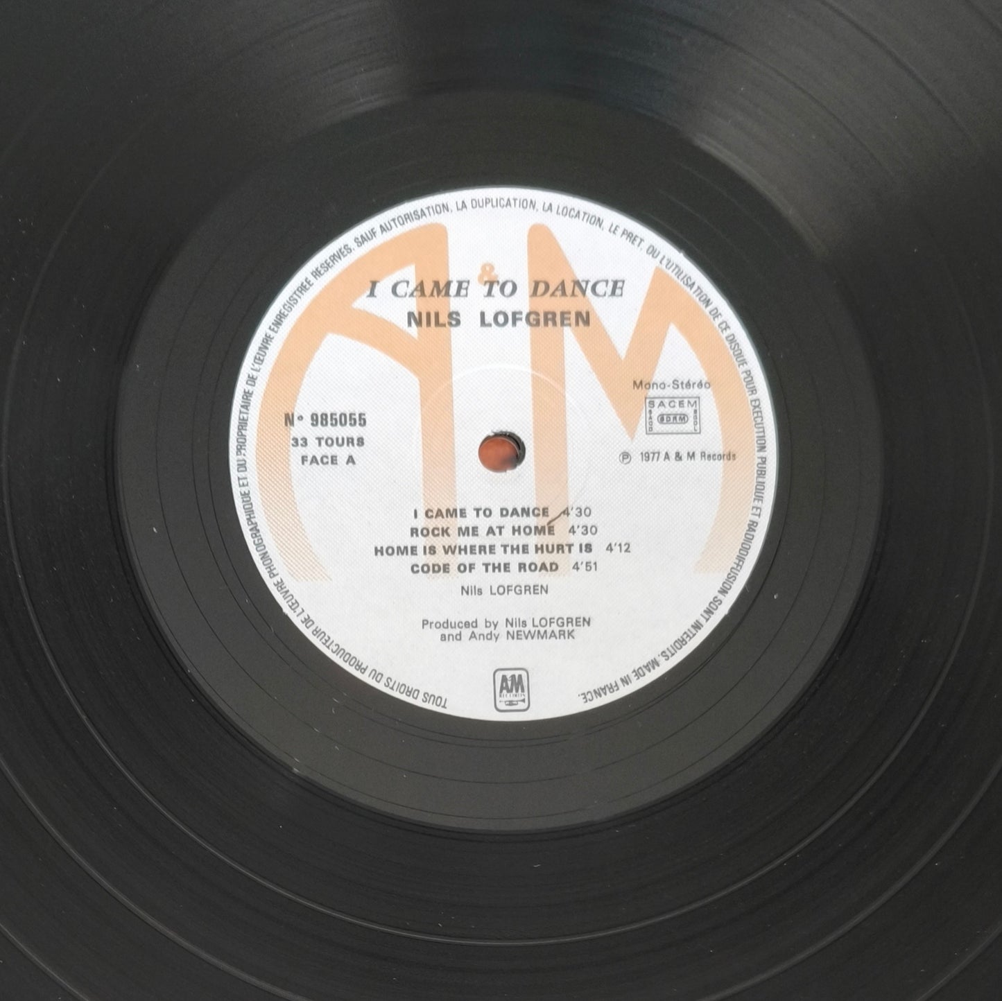 NILS LOFGREN - I Came To Dance