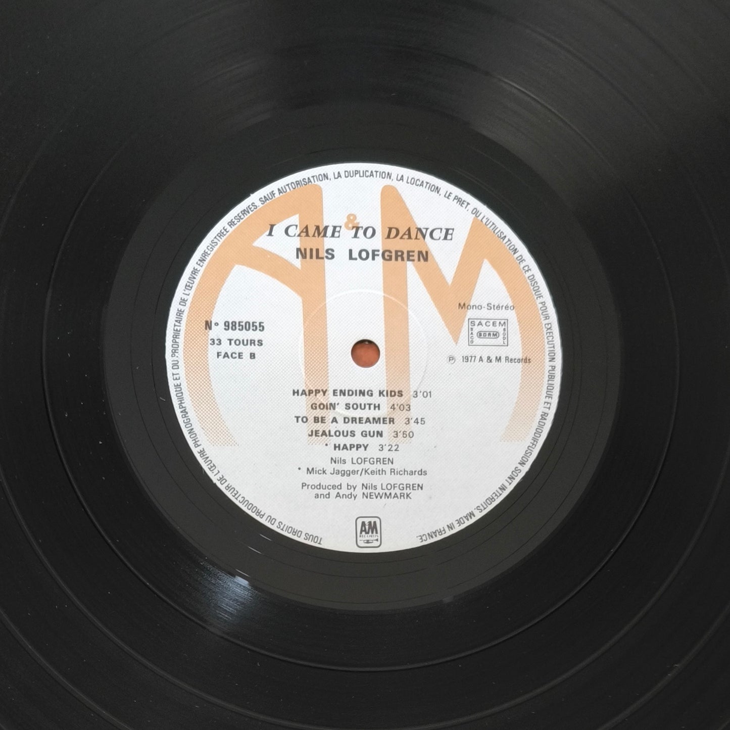 NILS LOFGREN - I Came To Dance