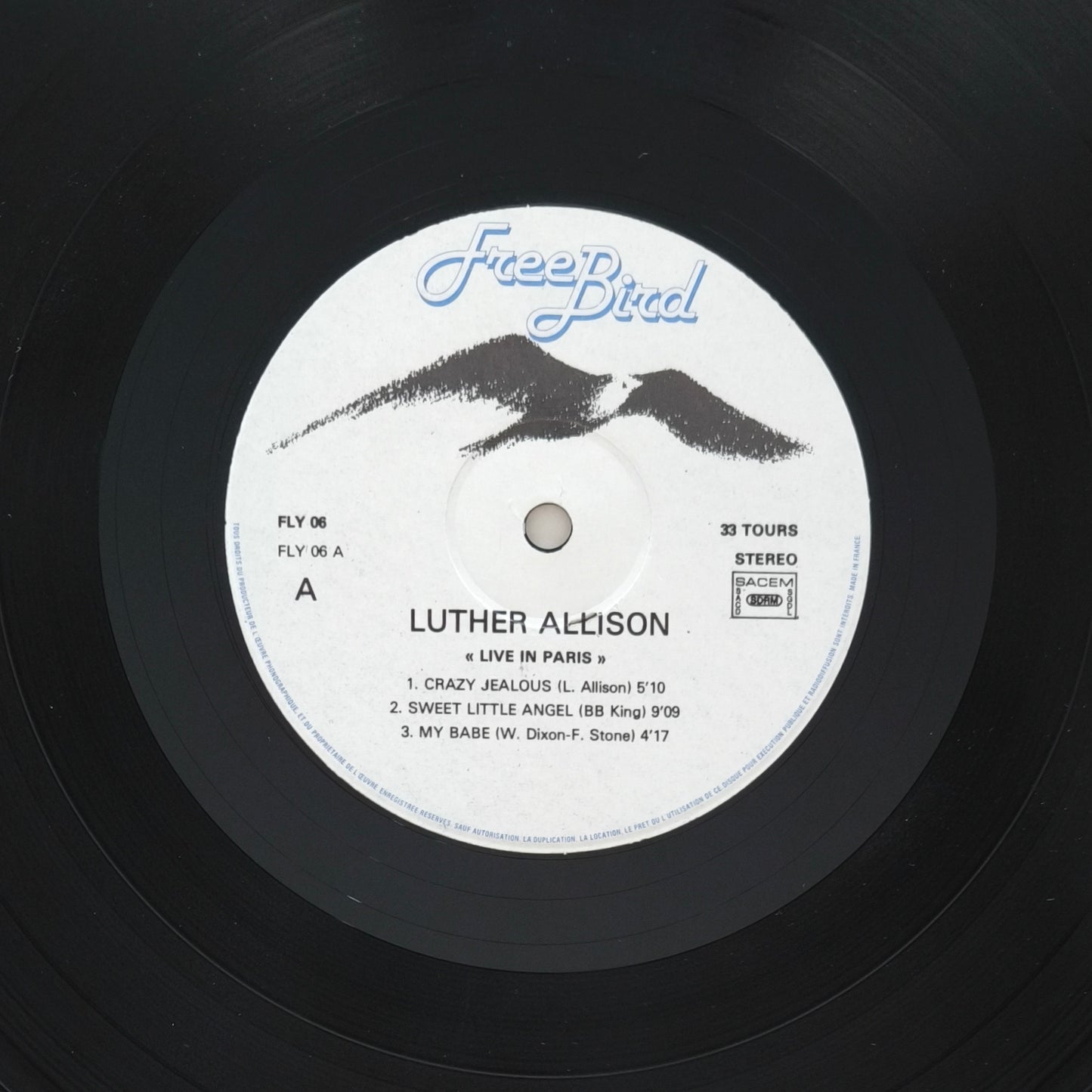 LUTHER ALLISON - Live In Paris