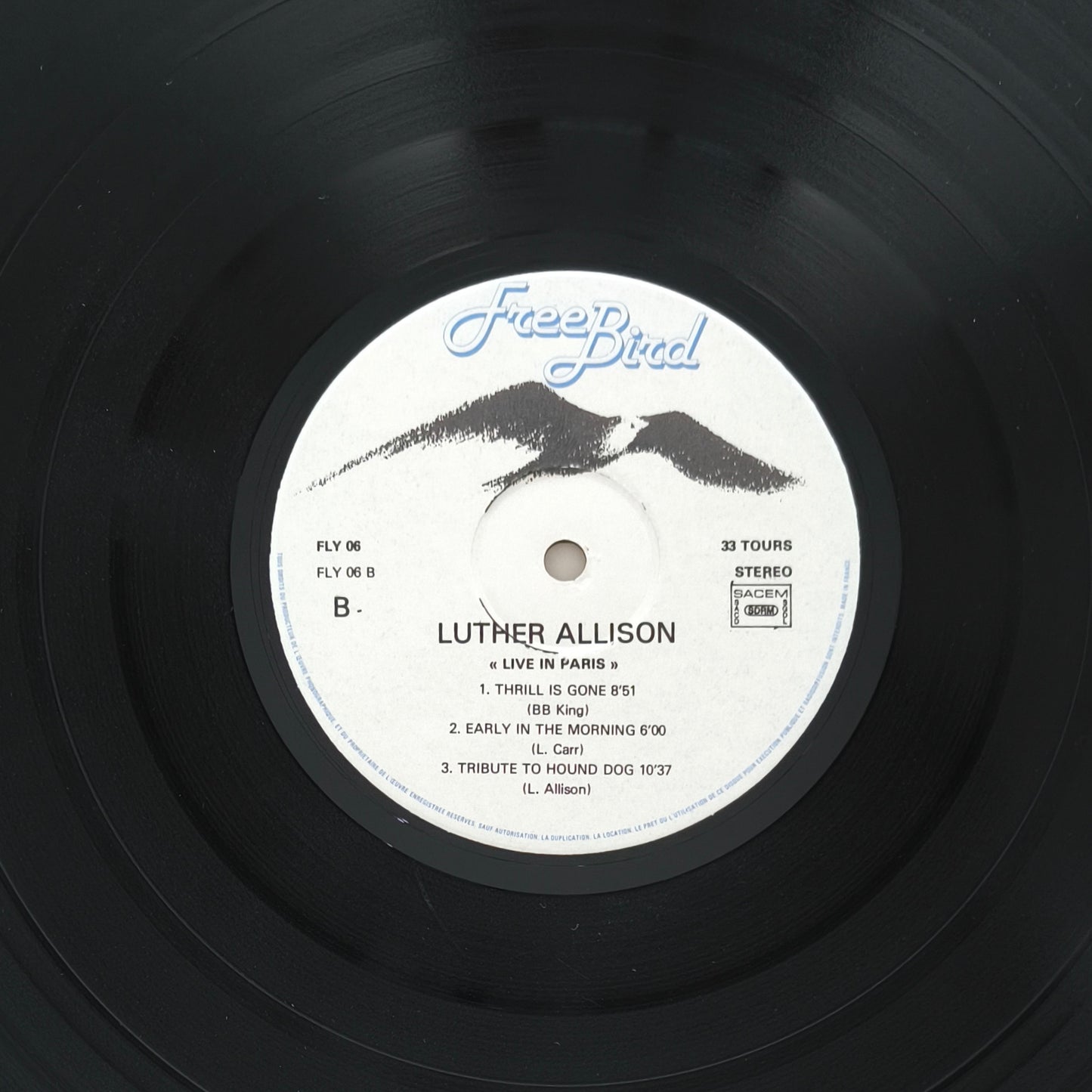 LUTHER ALLISON - Live In Paris