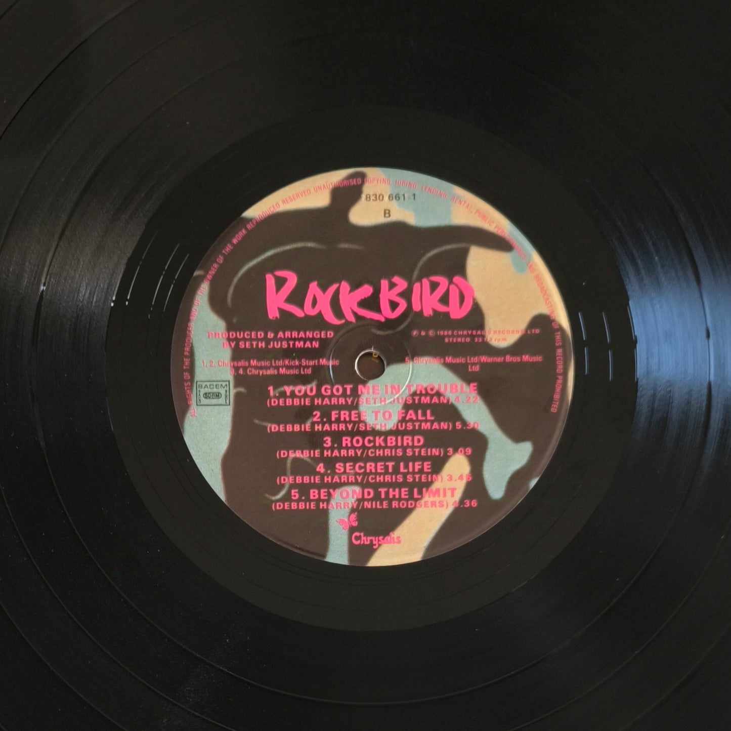 DEBBIE HARRY - Rockbird