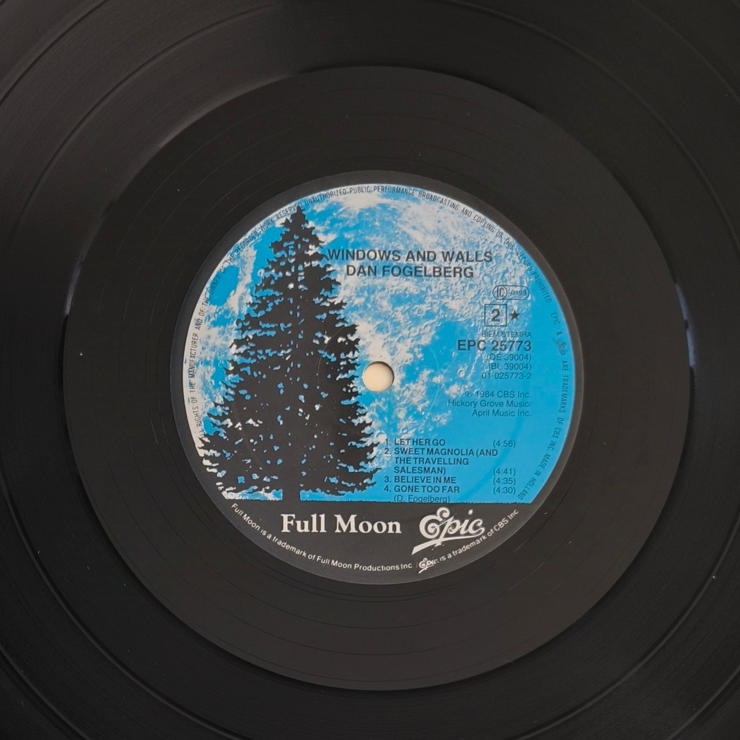 DAN FOGELBERG - Windows And Walls