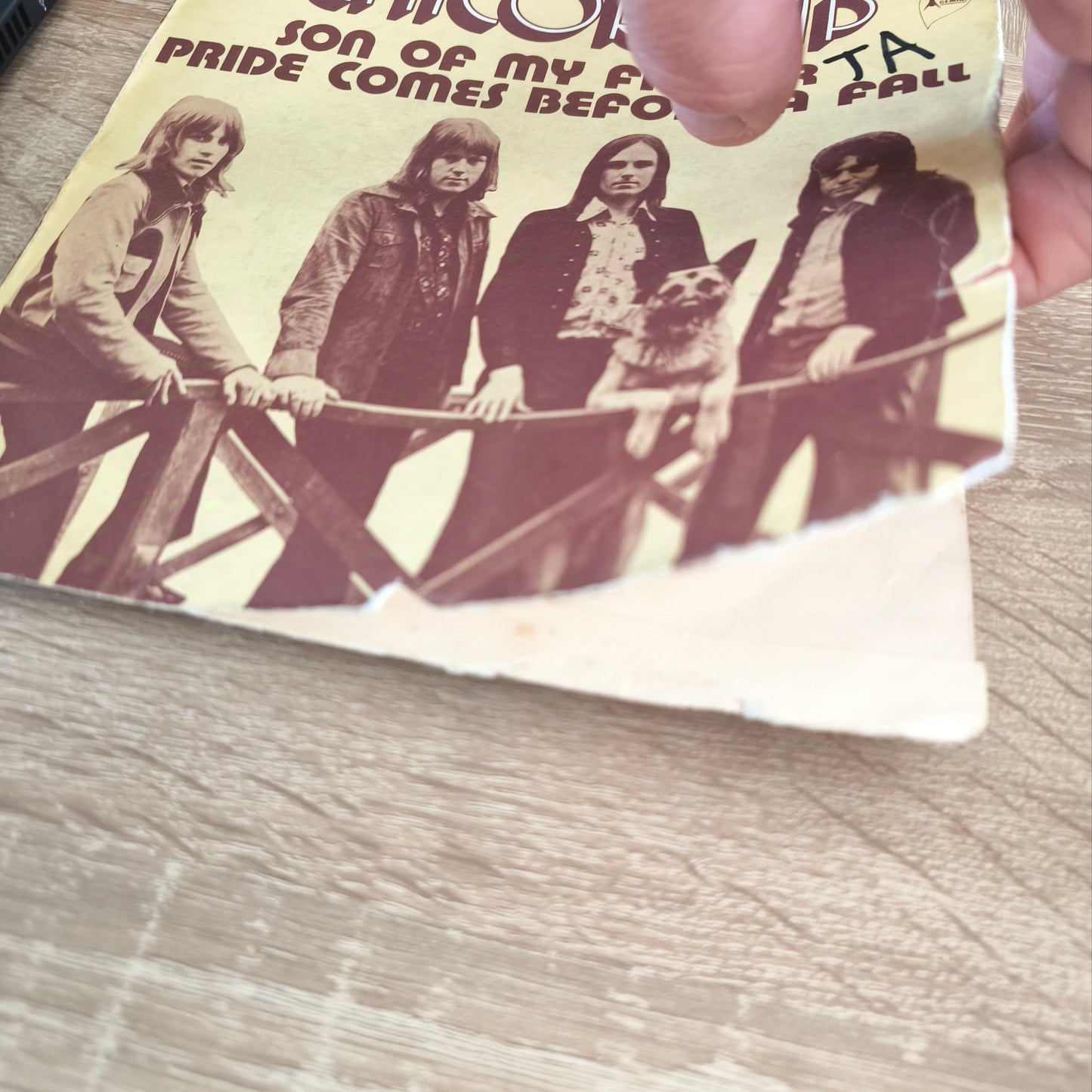 CHICORY TIP - Son Of My Father / Pride Comes Before A Fall