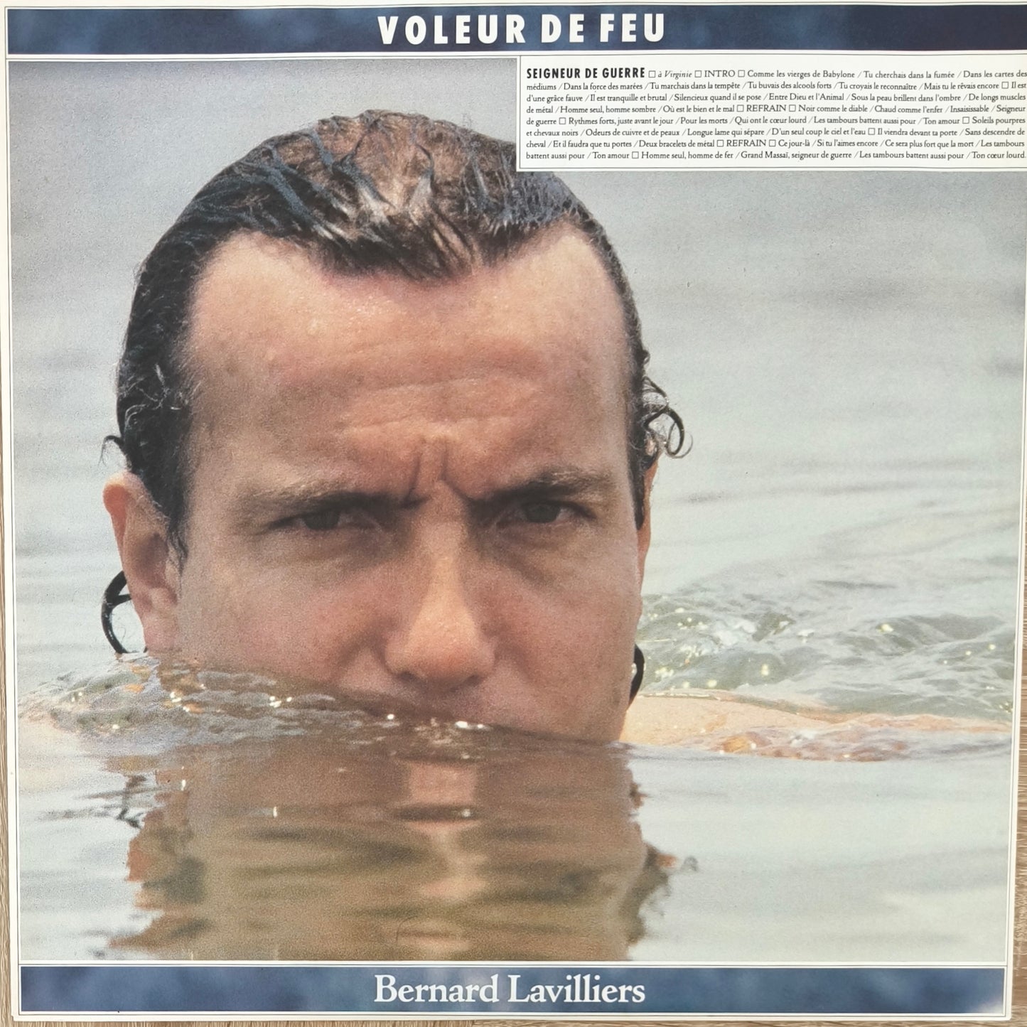 BERNARD LAVILLIERS - Voleur De Feu