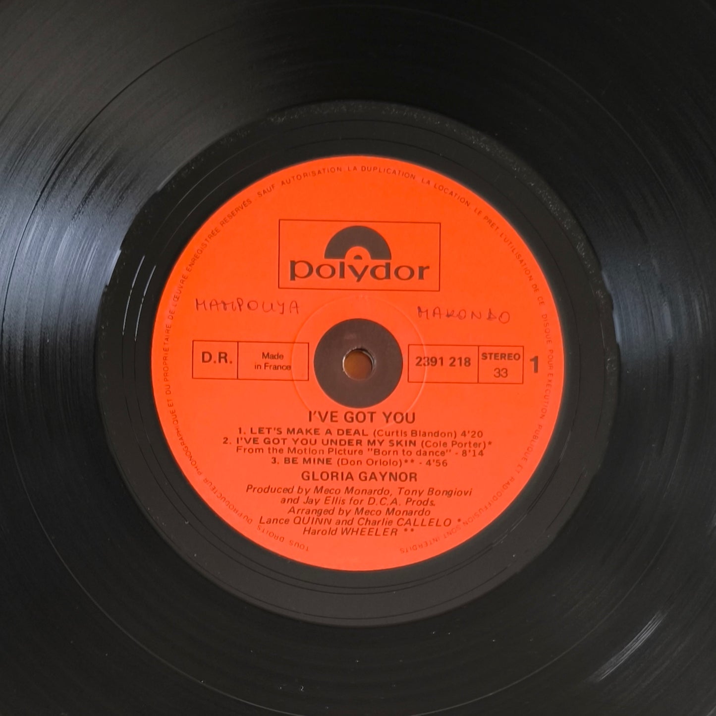 GLORIA GAYNOR - I've Got You
