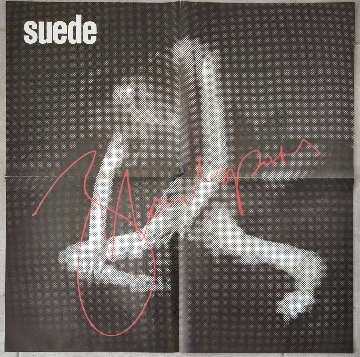 SUEDE - Bloodsports (pressage 2013)