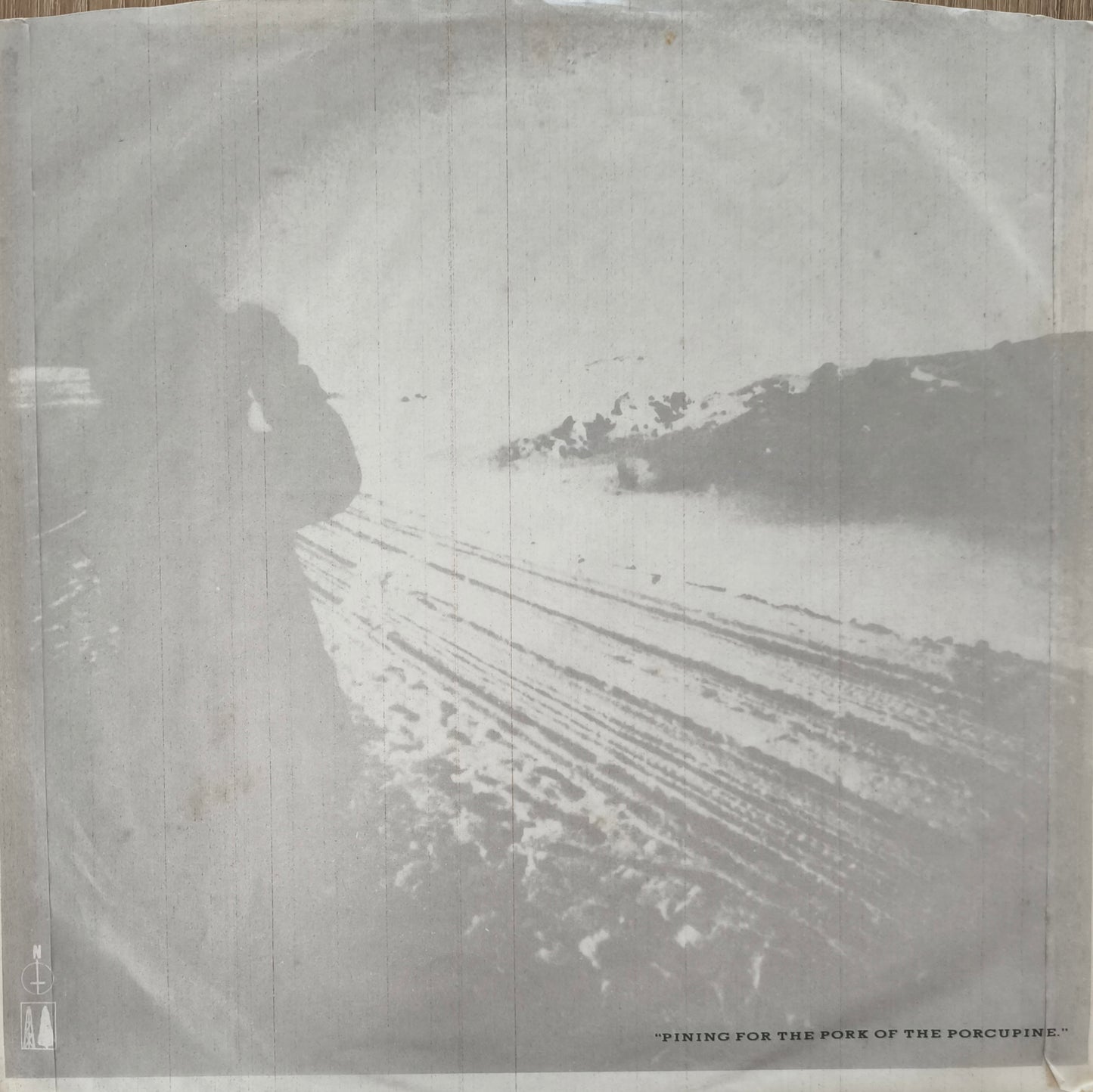 ECHO & THE BUNNYMEN - Porcupine