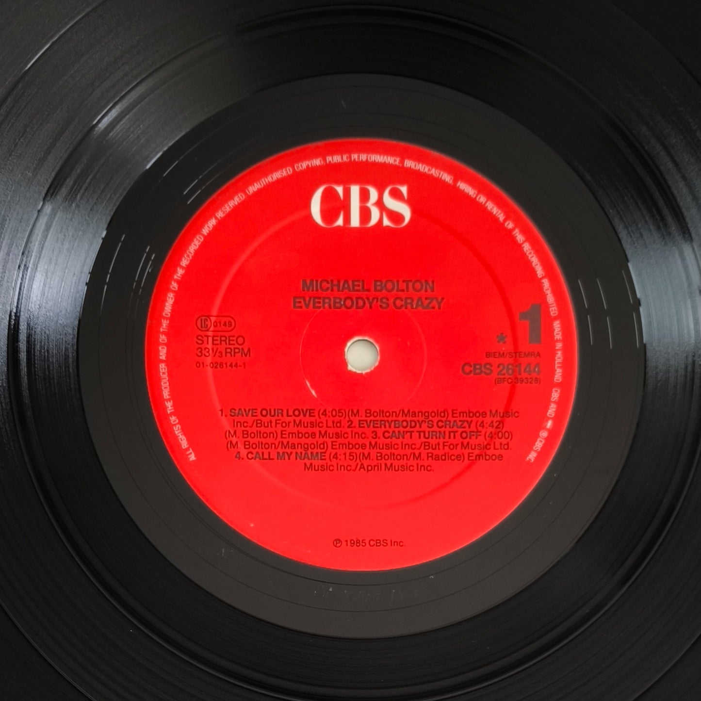 MICHAEL BOLTON - Everybody's Crazy