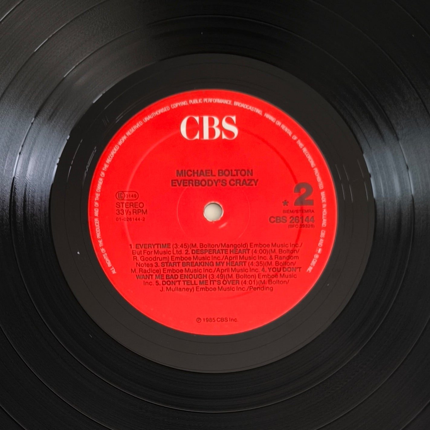 MICHAEL BOLTON - Everybody's Crazy