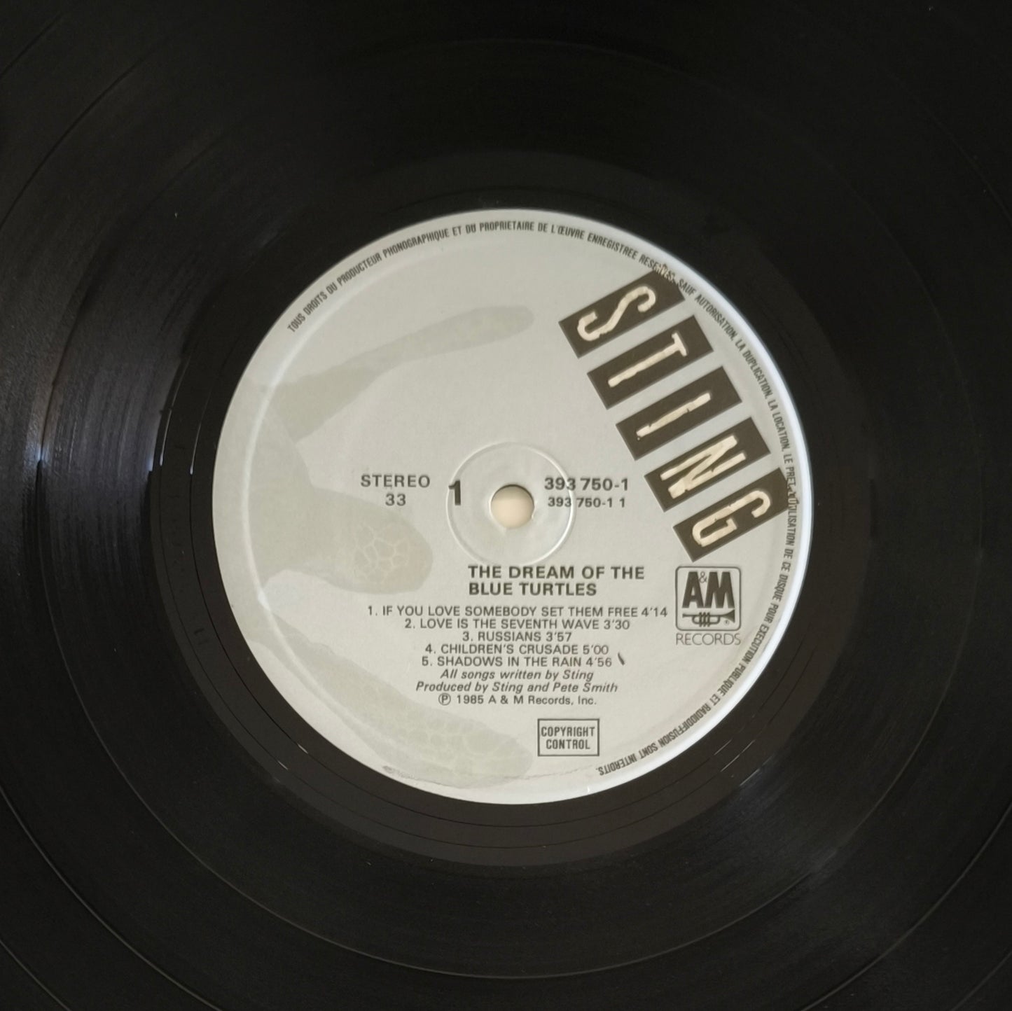 STING - The dream of the blue turtles