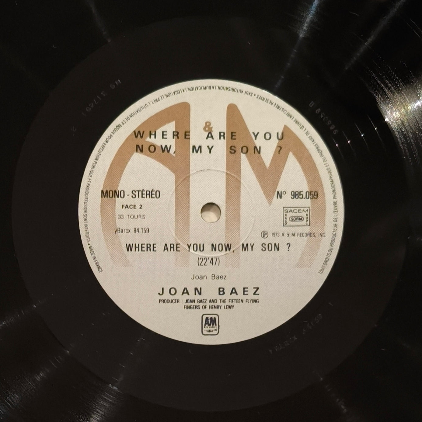JOAN BAEZ - Where Are You Now, My Son?