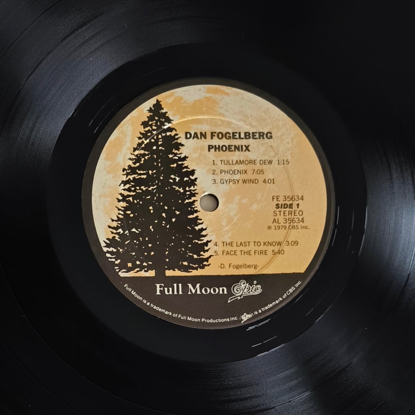 DAN FOGELBERG - Phoenix