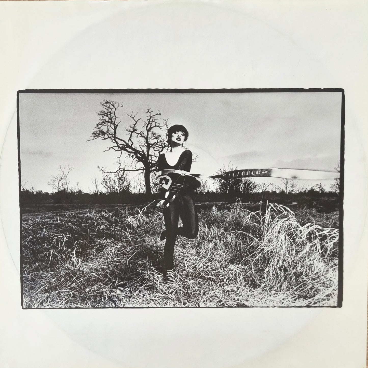 NINA HAGEN BAND - Nina Hagen Band