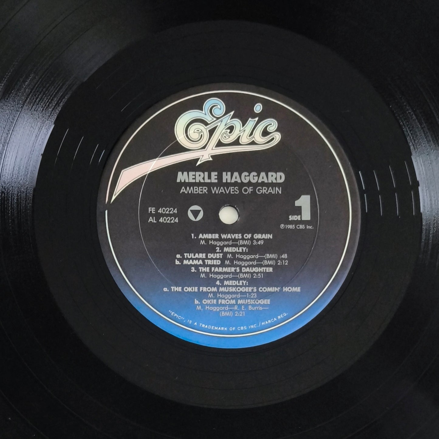 MERLE HAGGARD - Amber Waves Of Grain