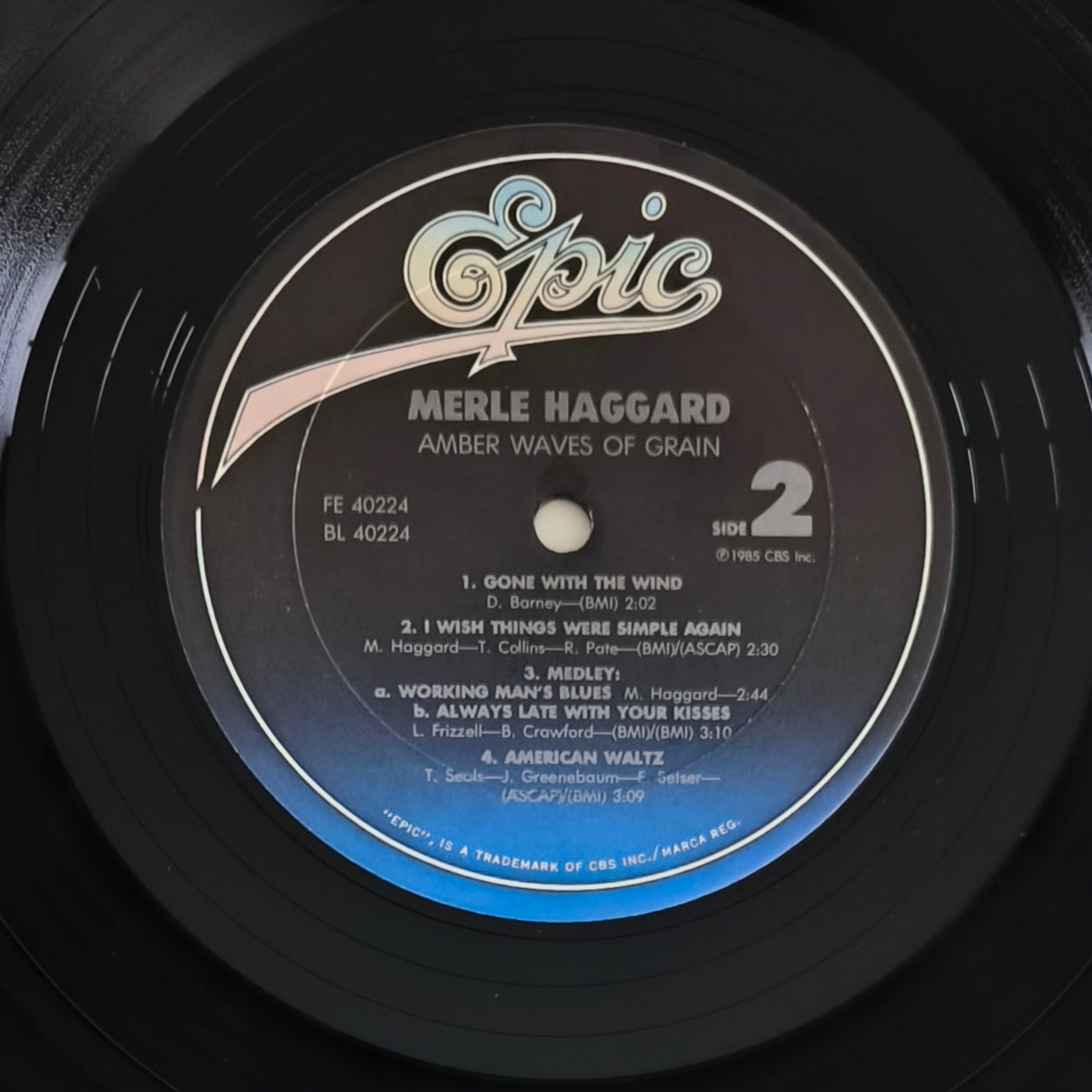 MERLE HAGGARD - Amber Waves Of Grain