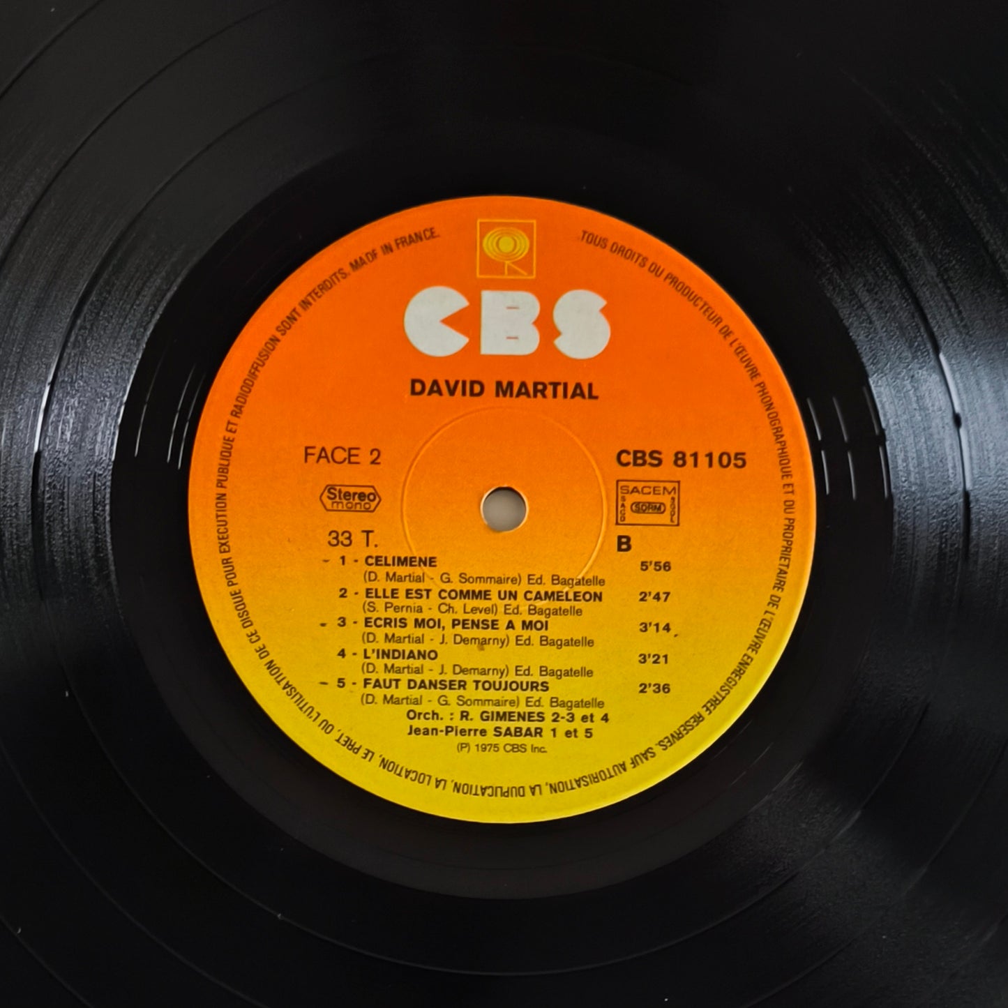 DAVID MARTIAL - Tamba Celimene