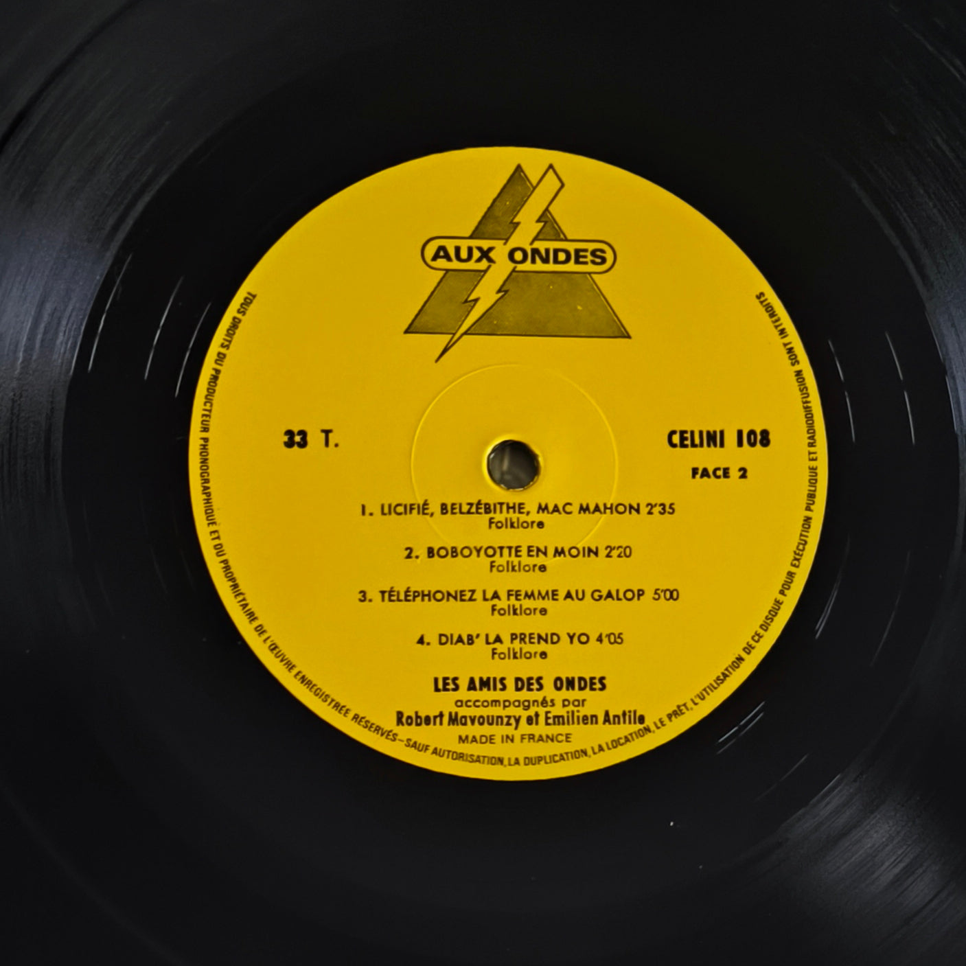 LES AMIS DES ONDES - A La Recherche Du Temps... Des Biguines