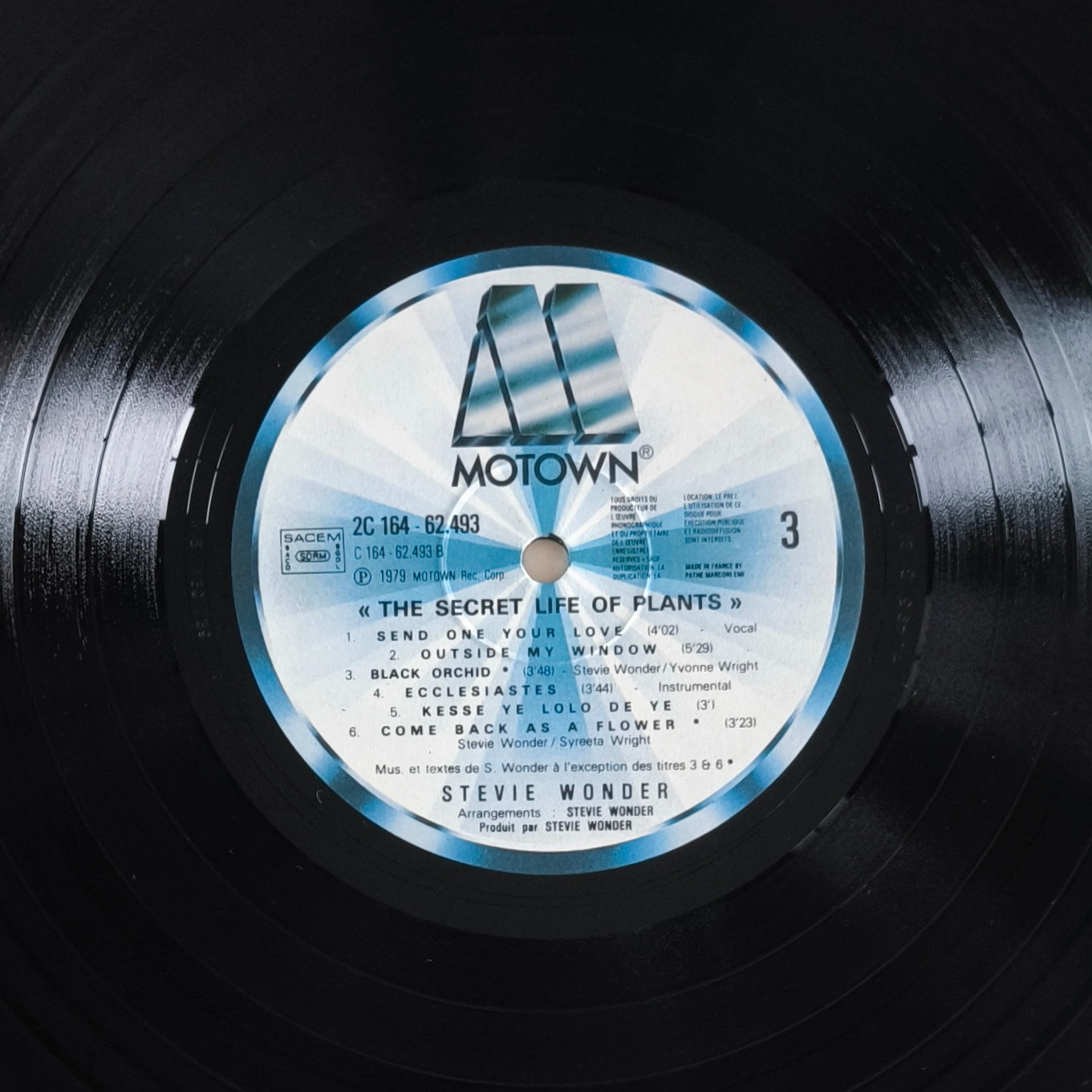 STEVIE WONDER - Journey Through The Secret Life Of Plants