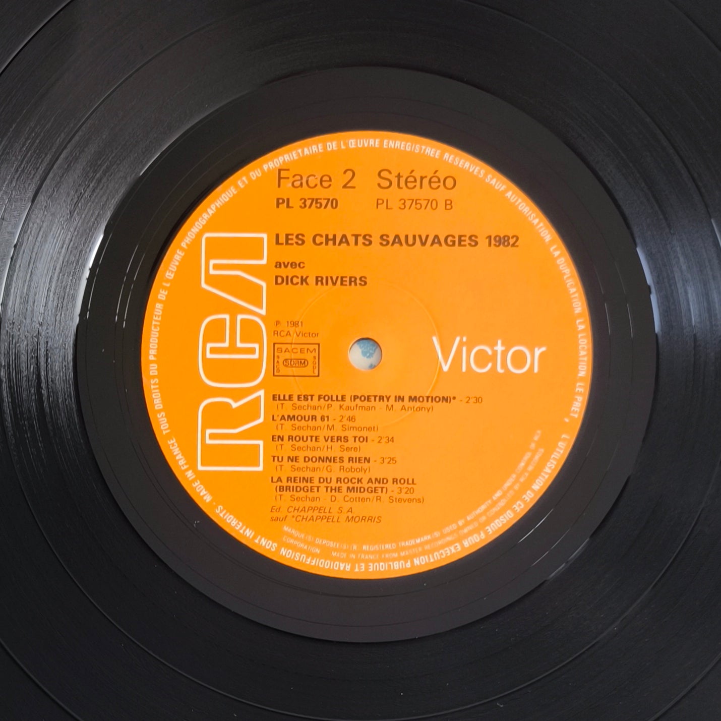 LES CHATS SAUVAGES 1982 avec DICK RIVERS - 10 Nouveaux Titres