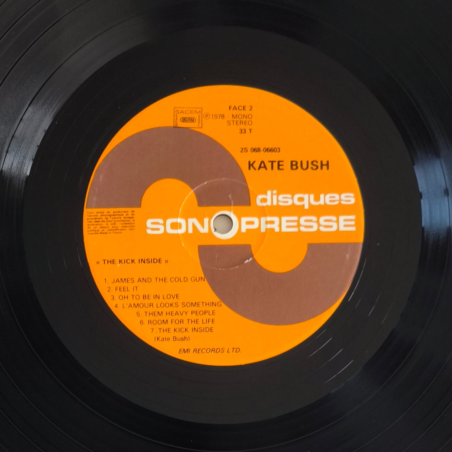 KATE BUSH - The Kick Inside