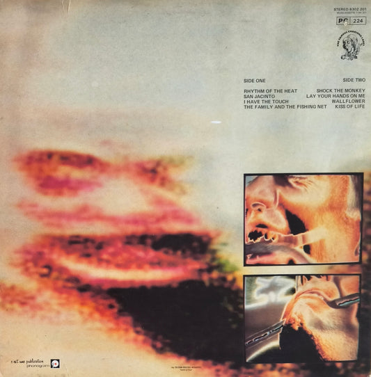 PETER GABRIEL - Security