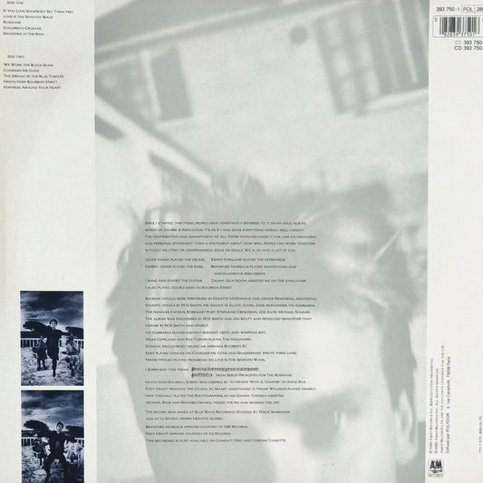 STING - The dream of the blue turtles