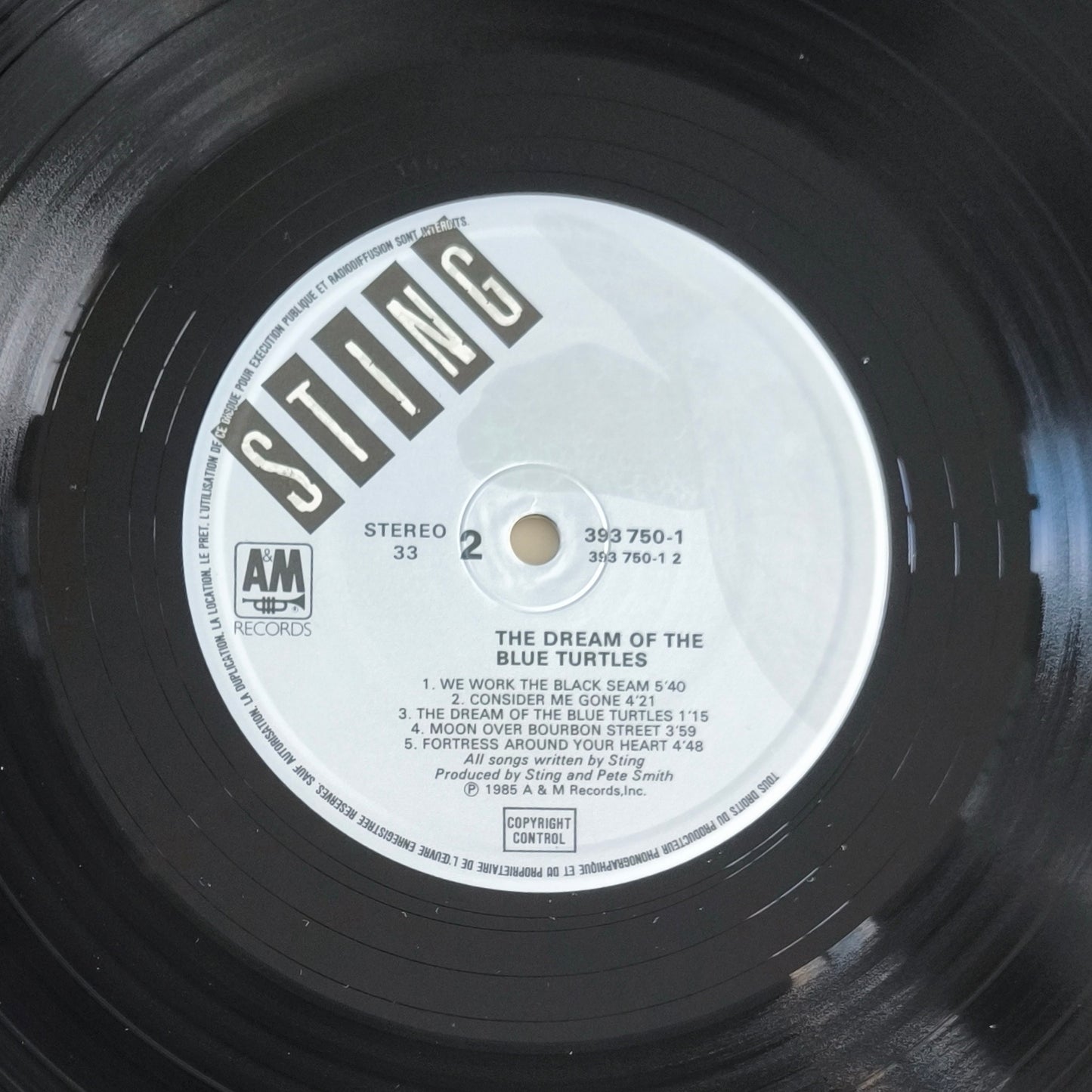 STING - The Dream Of The Blue Turtles