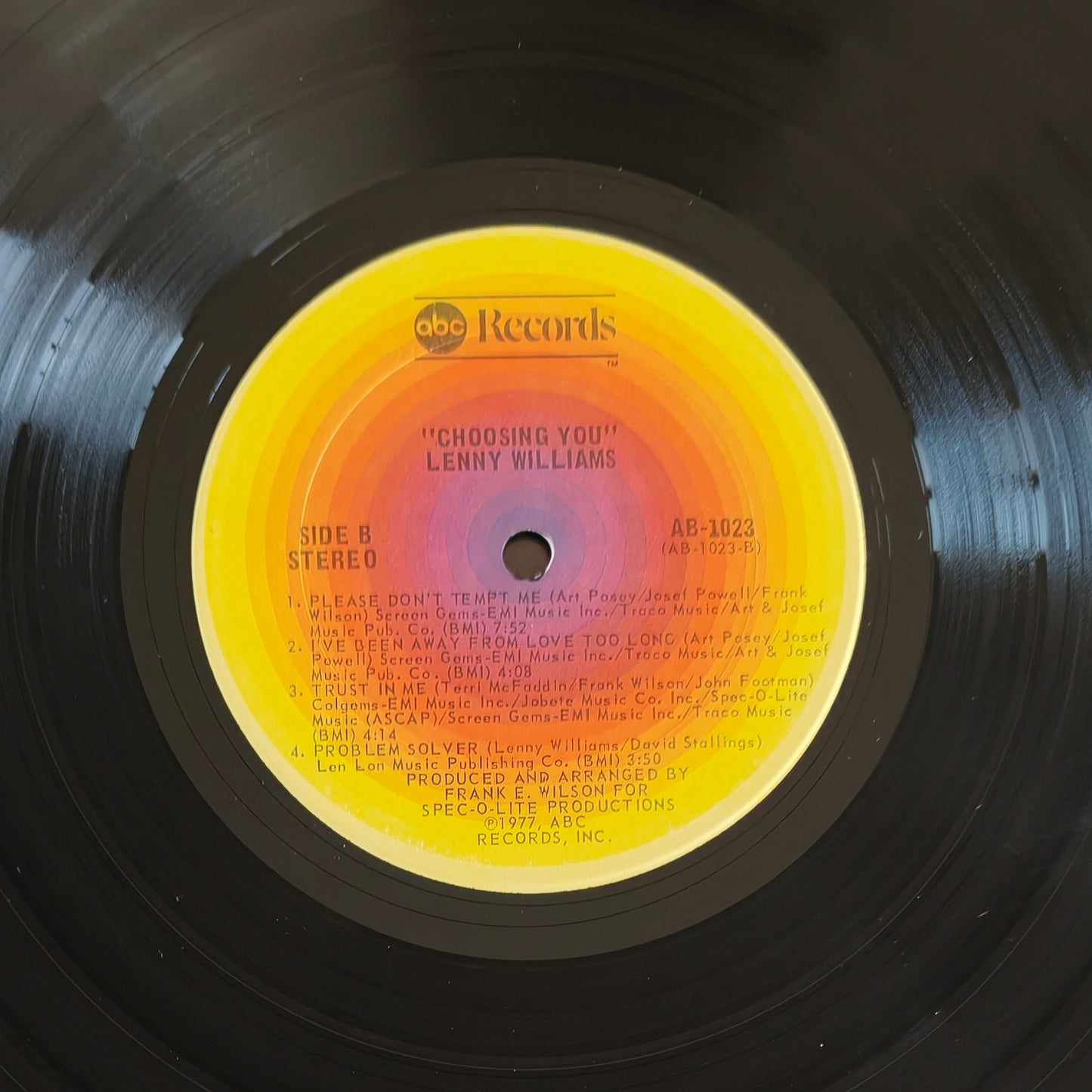 LENNY WILLIAMS - Choosing You (Pressage US)