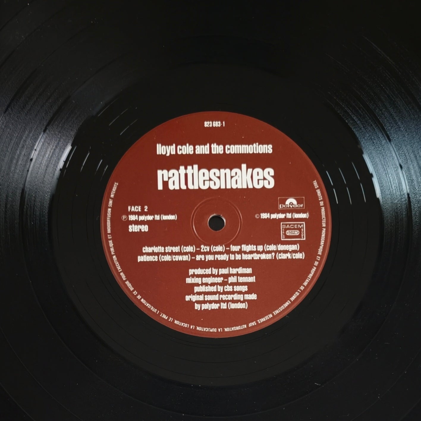 LLOYD COLE AND THE COMMOTIONS - Rattlesnakes