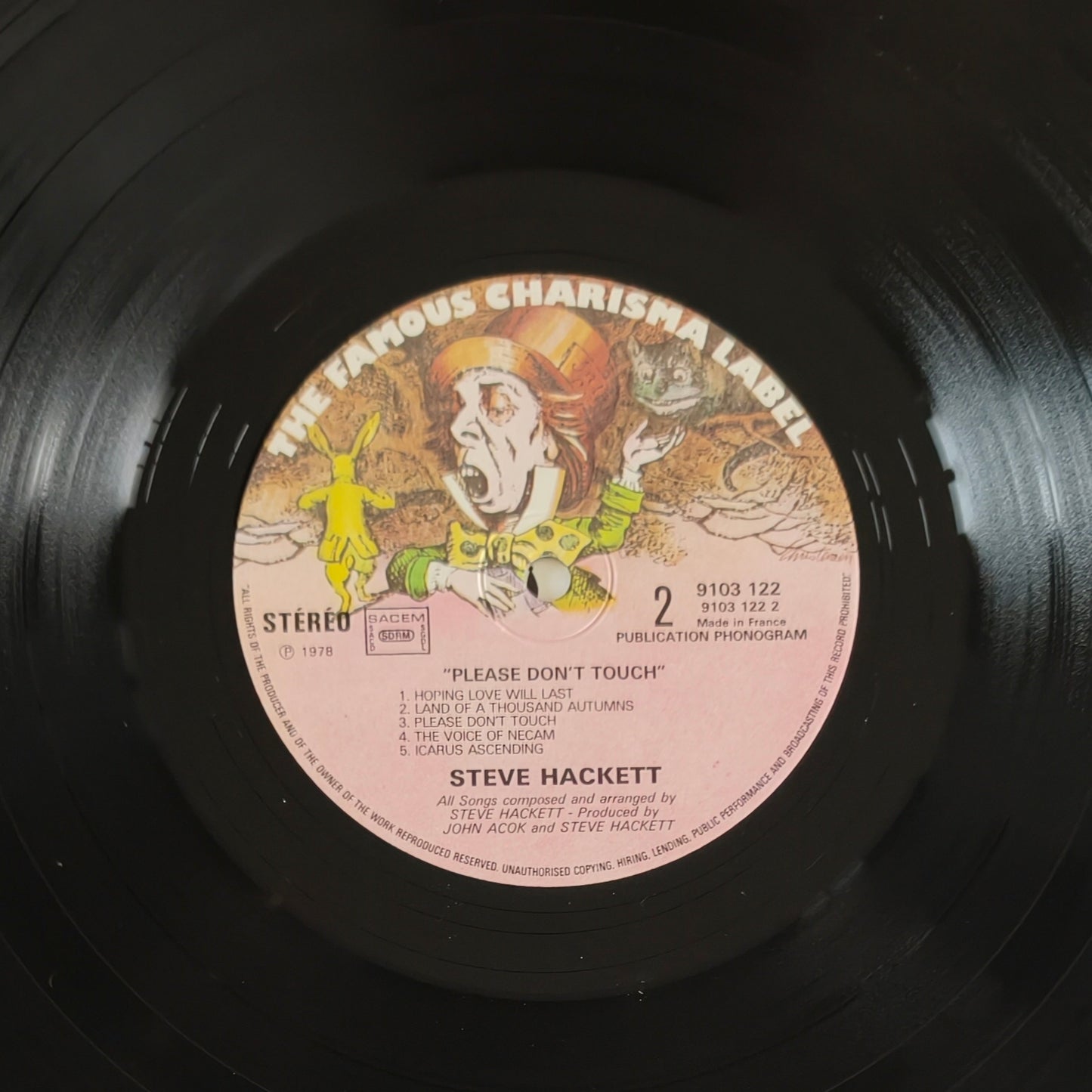 STEVE HACKETT - Please Don't Touch!