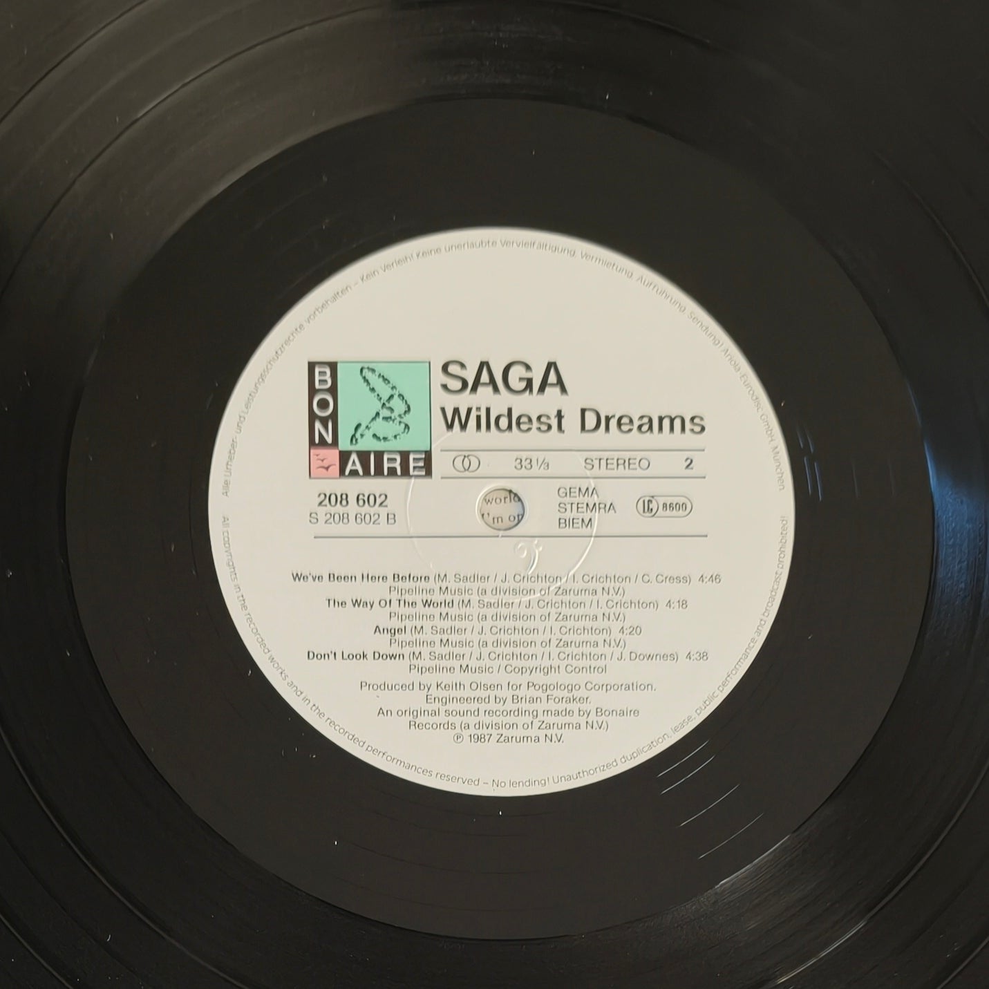 SAGA - Wildest Dreams