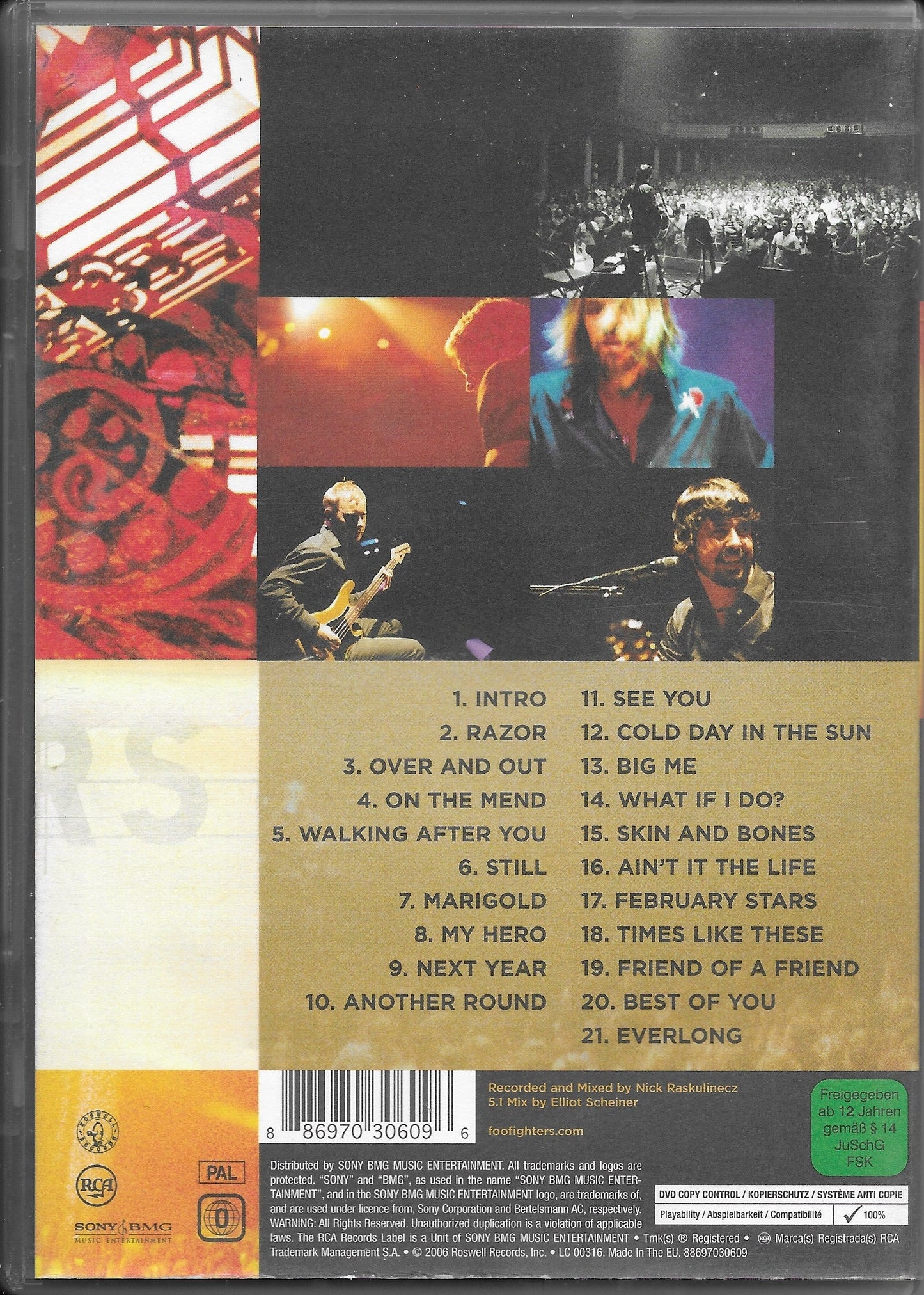 FOO FIGHTERS - Skin And Bones