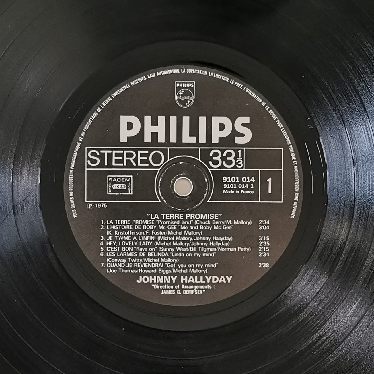 JOHNNY HALLYDAY - La Terre Promise