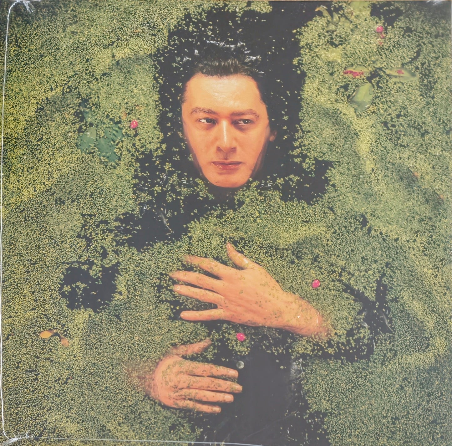 ALAIN BASHUNG - Fantaisie Militaire