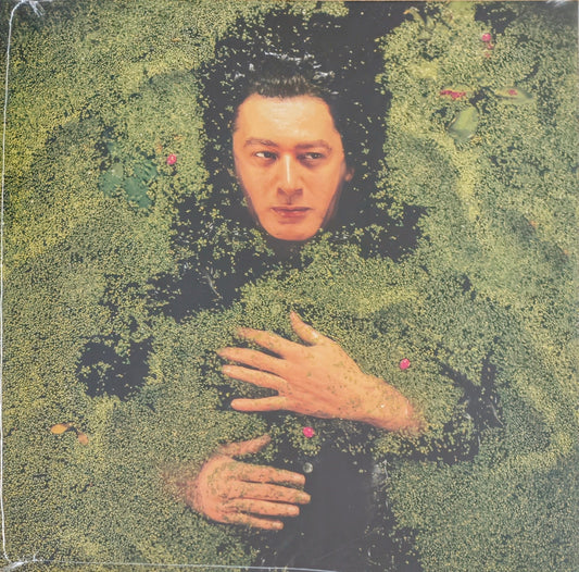 ALAIN BASHUNG - Fantaisie Militaire