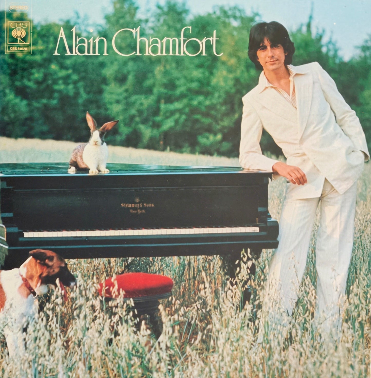 ALAIN CHAMFORT - Mariage À L'Essai