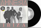 AMNESIA - Ibiza