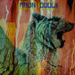 AMON DÜÜL II - Wolf City